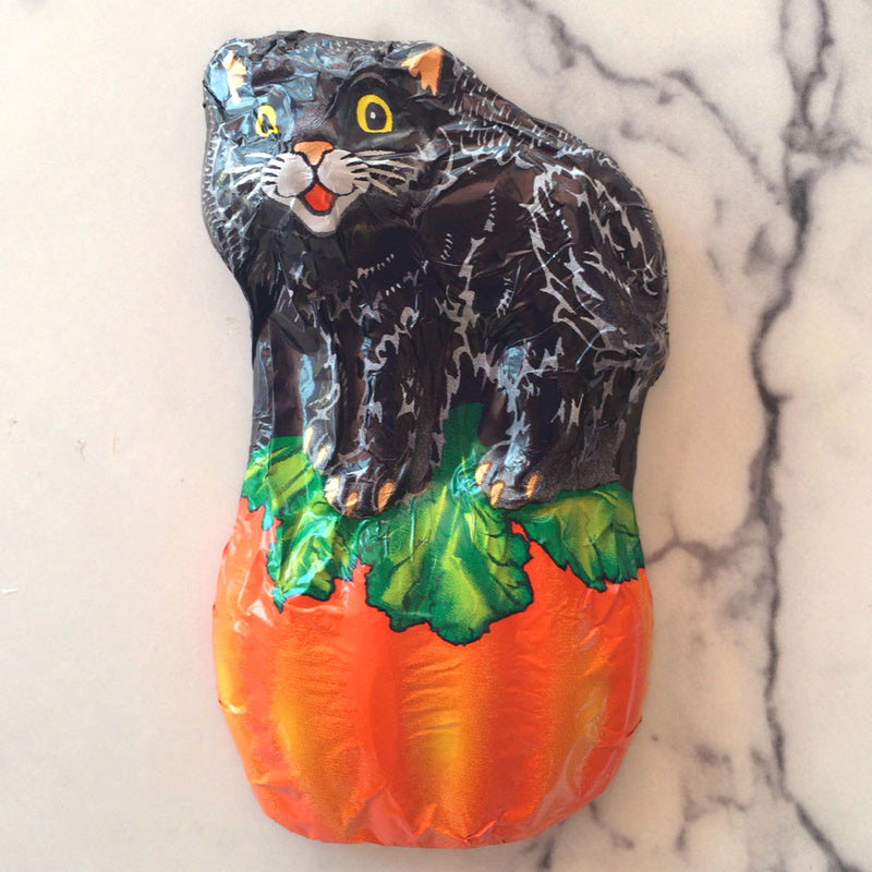 Cat on a Pumpkin